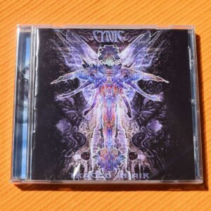 Cynic - Traced In Air